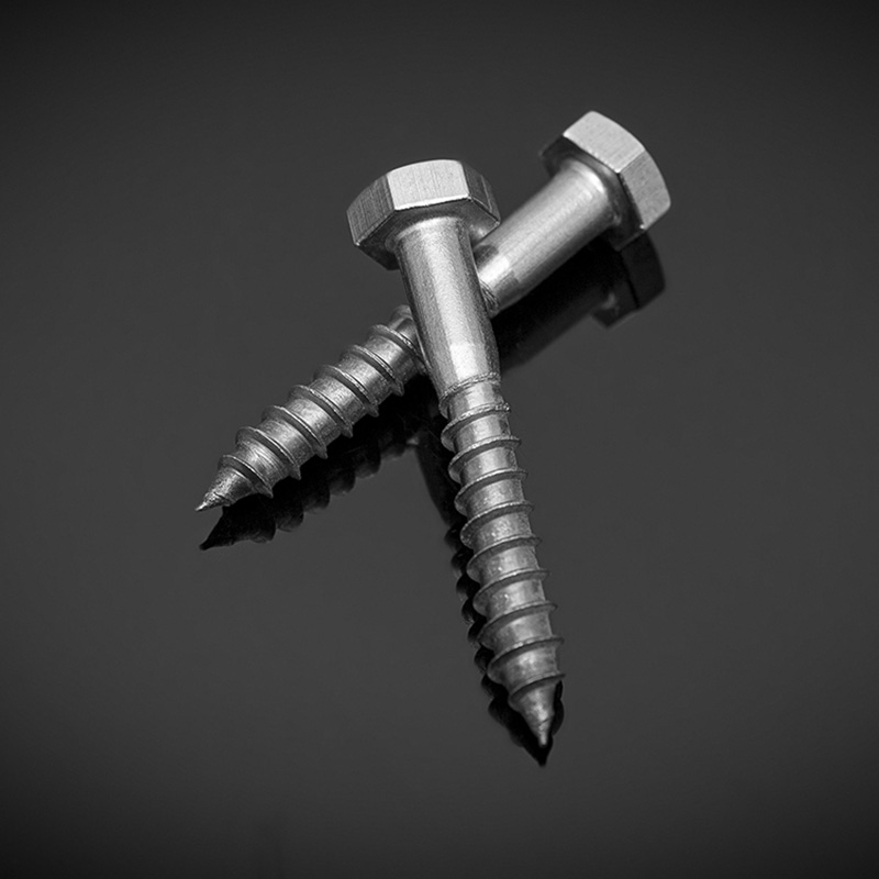 DIN571 Vijci za drvo sa šesterokutnom glavom od nehrđajućeg čelika DIN571 Vijci za drvo sa šesterokutnom glavom od nehrđajućeg čelika